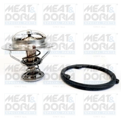 Thermostat, coolant